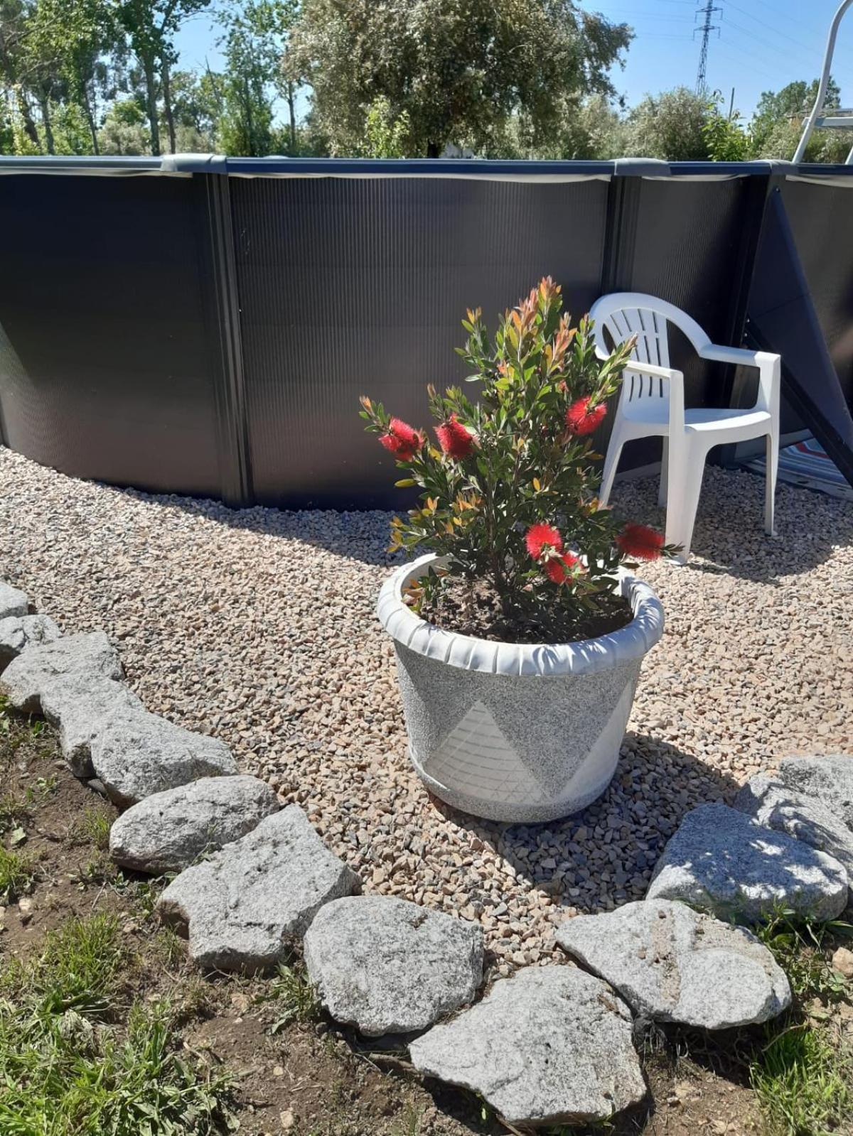 Casa Curral Do Porco Βίλα Tábua Εξωτερικό φωτογραφία